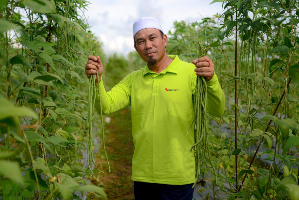 Generating Family Income Through Crops - The House of Bolkiah